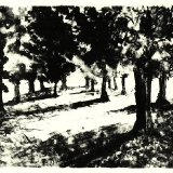 Trees, late afternoon